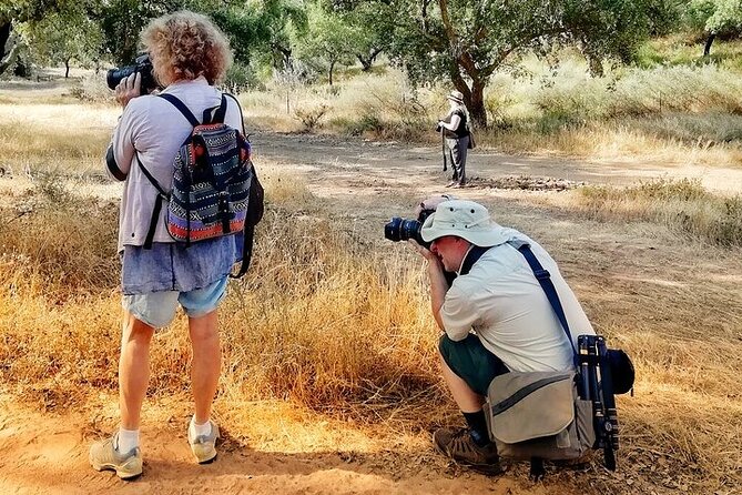 Walk on the Alentejo Cork Forest With Optional Lunch - Dining at the Family Restaurant