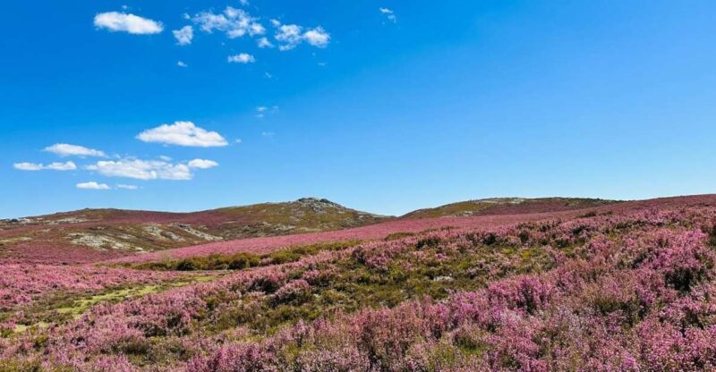 Walk & Picnic Peneda Gerês National Park - Guided - Key Points