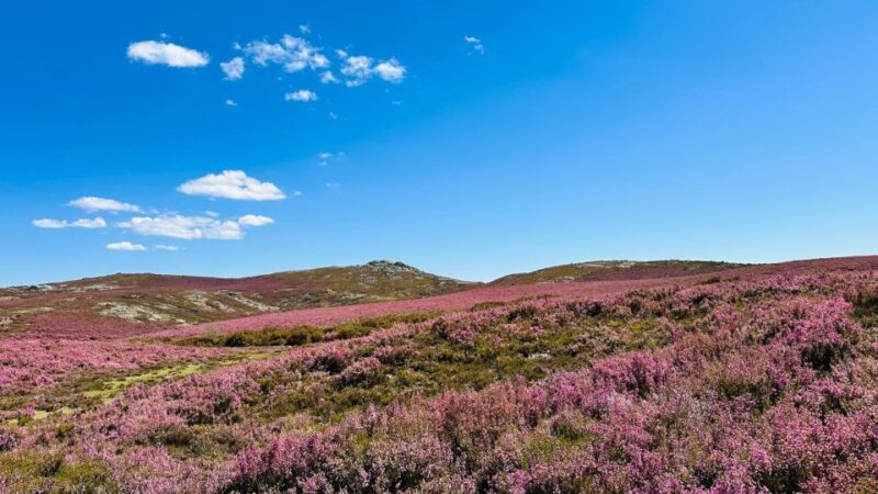 Walk & Picnic Peneda Gerês National Park - Guided - Itinerary