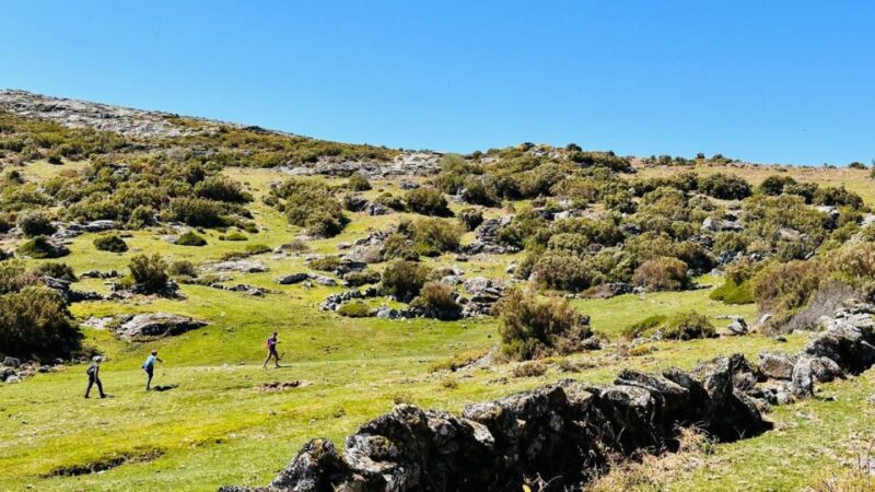 Walk & Picnic Peneda Gerês National Park - Guided - Highlights