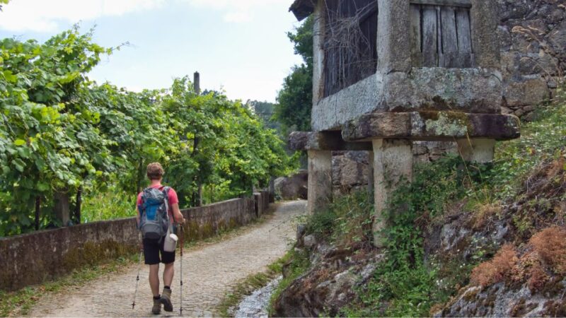 Walk & Picnic Peneda Gerês National Park - Guided - What to Bring