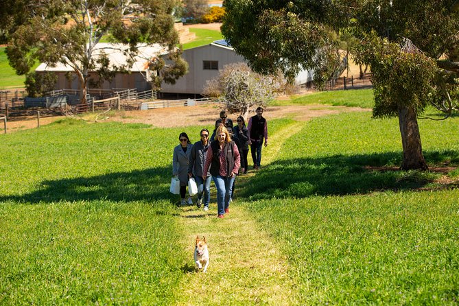 Walk, Taste, Graze - Experience at Pindarie - Key Points