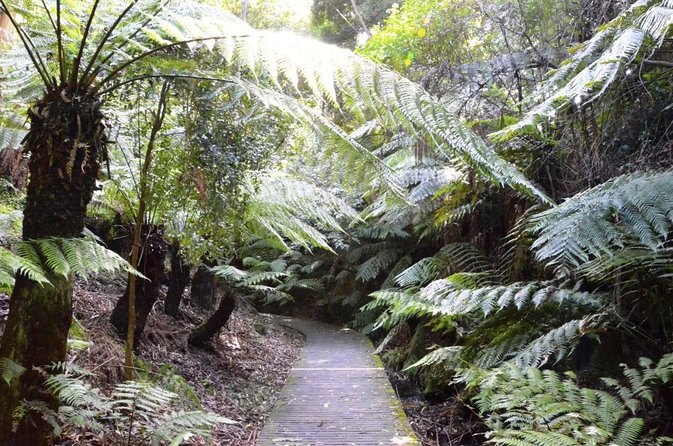Walk the Darwin Botanic Gardens - Key Points