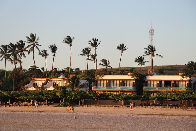 Walk to Jericoacoara Beach - Inclusions and Exclusions