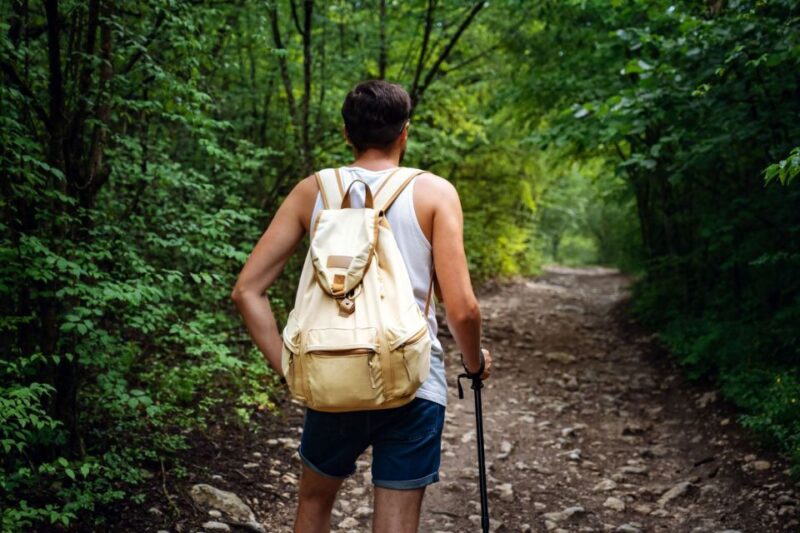 Walk to the Big Rock in Cantareira State Park - Itinerary