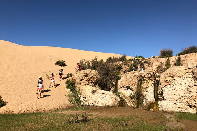Walk to the Cascade and Marabout of Sidi Mbark & for a Tea to Kaouki - Guide Highlights