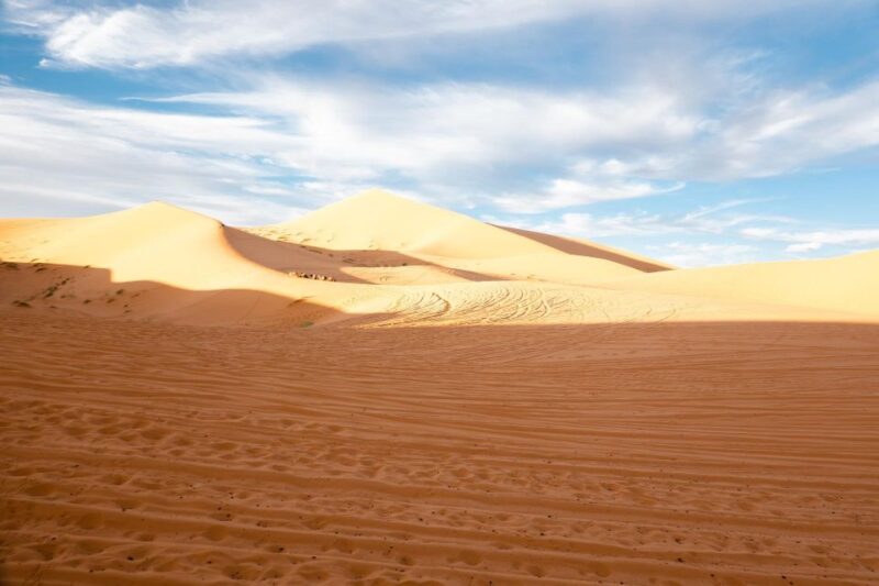 Walk Trek 8 Day From Marrakech to Erg Chegaga Camel Trekking - Key Points