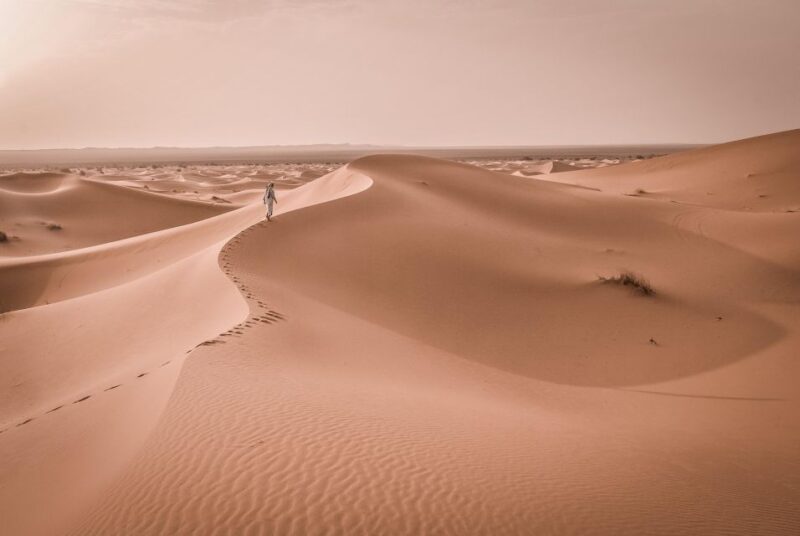 Walk Trek 8 Day From Marrakech to Erg Chegaga Camel Trekking - Itinerary Highlights