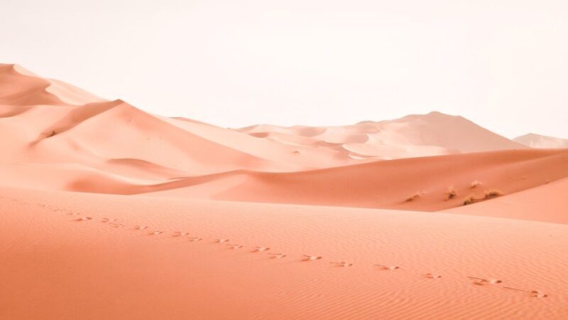 Walk Trek 8 Day From Marrakech to Erg Chegaga Camel Trekking - Camel Trekking Experience