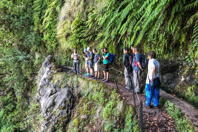 Walk With a Local - Booking and Cancellation