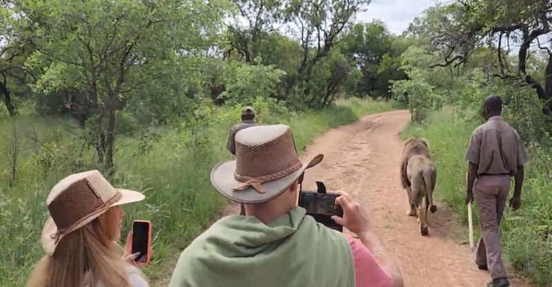 Walk With Lions - Itinerary and Transportation