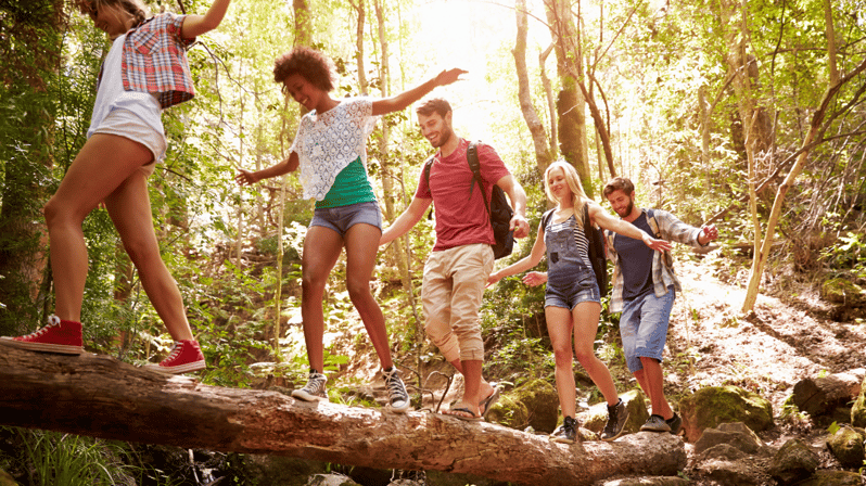 Walk With Strangers - Douro Landscapes - Experience and Itinerary
