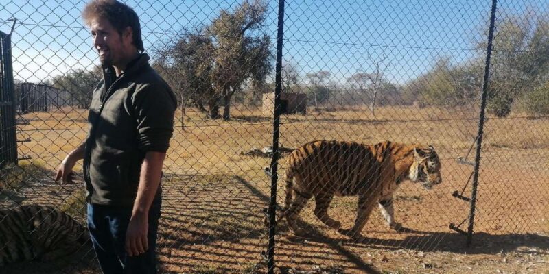 Walk With the LIONS - Safety Precautions