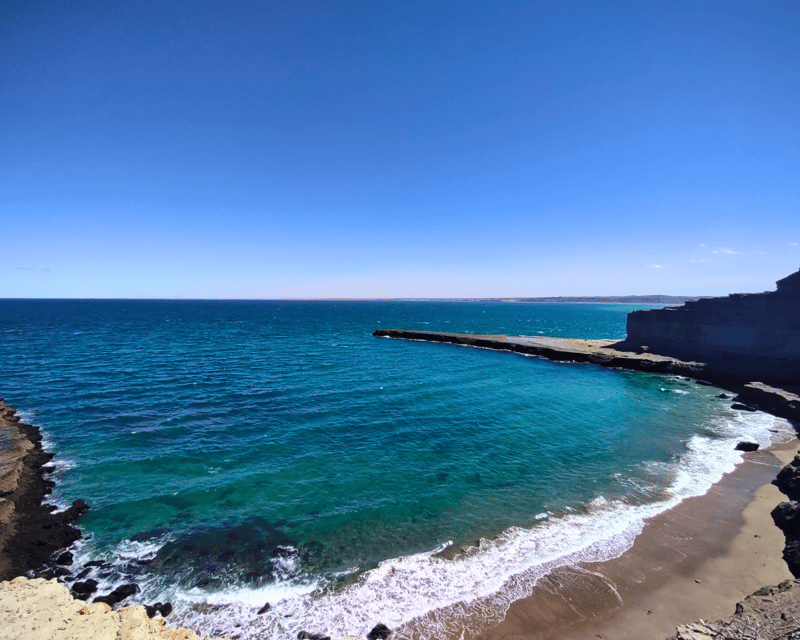 Walk With the Penguins: Punta Tombo for Cruise Passengers - Tour Overview and Pricing