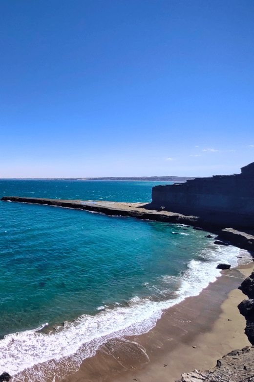 Walk With the Penguins: Punta Tombo for Cruise Passengers - Wildlife Experience
