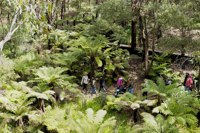 Walk With Wildlife: Guided Tour in Great Ocean Road - Group Size