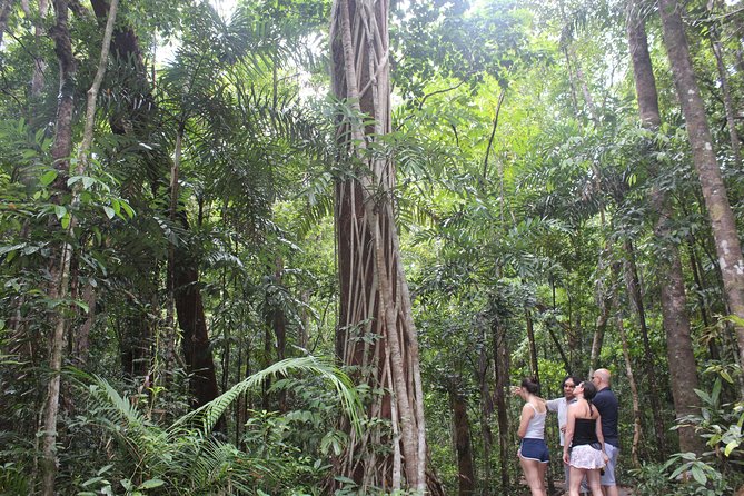 Walkabout Cultural Adventures - Ngana Kulkinga Dungay Half Day - Booking Information