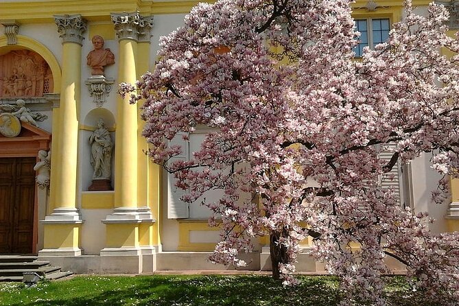 Walking Audio Tour of Wilanów Palace Grounds - Timing and Booking Considerations