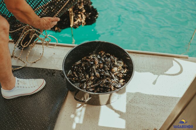Walking & Boat Tour - Visit Ston Walls and Taste Shells on Farm - Health and Safety