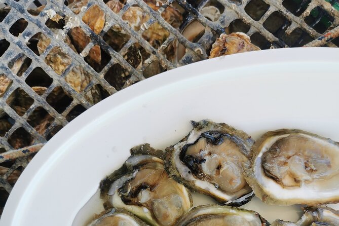 Walking & Boat Tour - Visit Ston Walls and Taste Shells on Farm - Discovering Ston Walls
