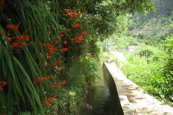 Walking Experience in the Serra DÁgua Valley - Additional Information