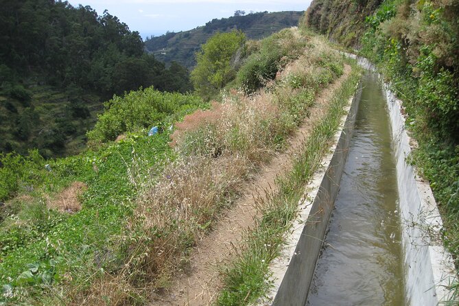 Walking Experience in the Serra DÁgua Valley - Tour Highlights