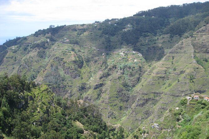 Walking Experience in the Serra DÁgua Valley - Customer Reviews