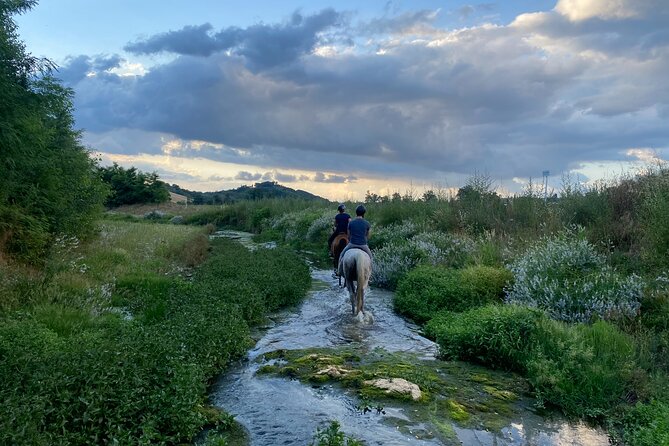 Walking In Nature - Benefits of Walking in Nature