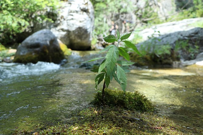 Walking Into Enipeas Gorge! - Reviewing the Activity Participation Details
