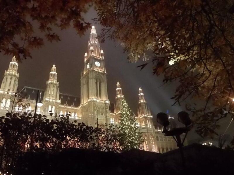 Walking on the Historical Trail of Viennese Christmas Trees - Albertina Museum Vienna Visit