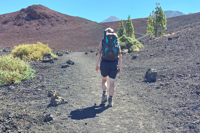 Walking on the Moon Around the Volcano Teide in Tenerife - Traveler Feedback