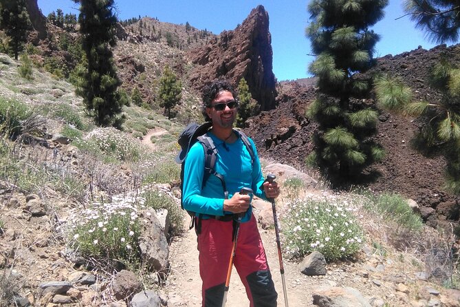 Walking on the Moon Around the Volcano Teide in Tenerife - Knowledgeable Tour Guide