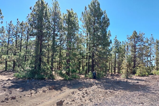 Walking on the Moon Around the Volcano Teide in Tenerife - Recommended for Nature Enthusiasts