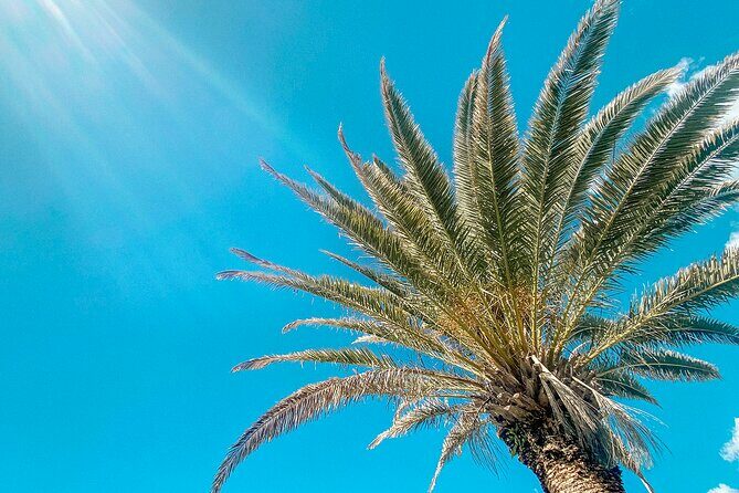 Walking Photography Tours of Mooloolaba and Alexandra Headland - Practical Tips for Future Participants