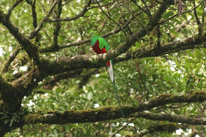 Walking Reserve Curi-Cancha - Sustainability and Conservation Efforts