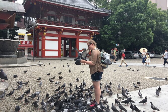 Walking Small-Group Nagoya City Tour - Inclusions