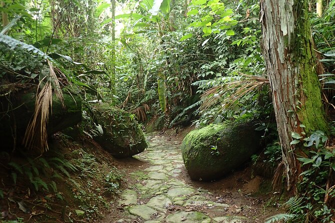 Walking the Gold Trail Tour - Uncovering the Trails Significance