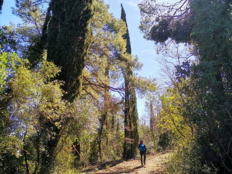 Walking Through Ancient Konavle Villages With a Tasty Finish - Health and Safety Considerations