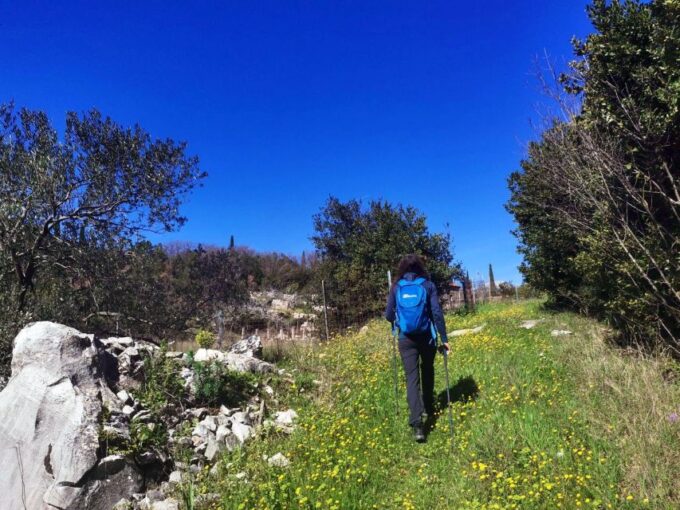 Walking Through Ancient Konavle Villages With a Tasty Finish - Transfer to Konavle Valley