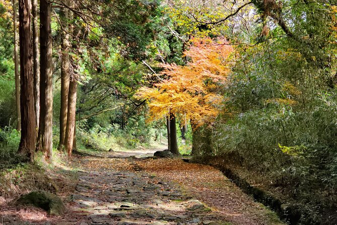 Walking Through the Aso Caldera, Historical Walk Along the Bungo Kaido - Customer Testimonials and Ratings