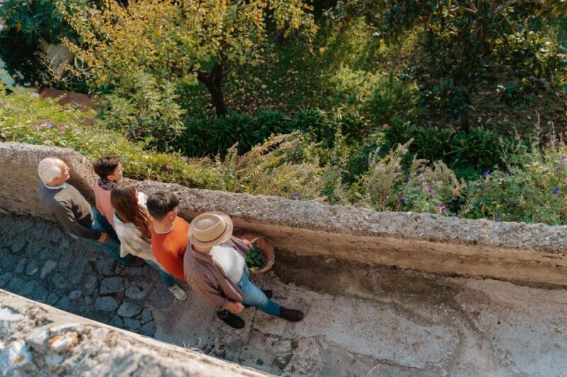 Walking Tour and Cooking Class Amalfi Coast - Cancellation Policy