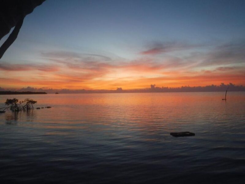 Walking Tour and Street Food in Calderitas Mexico - Tour Overview