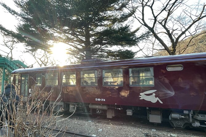 Walking Tour at Akagane Roads in Midori City - Key Points