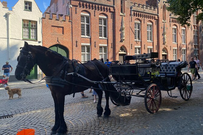 Walking Tour Bruges: Exciting Stories, Mysteries, People - Potential Issues and Concerns