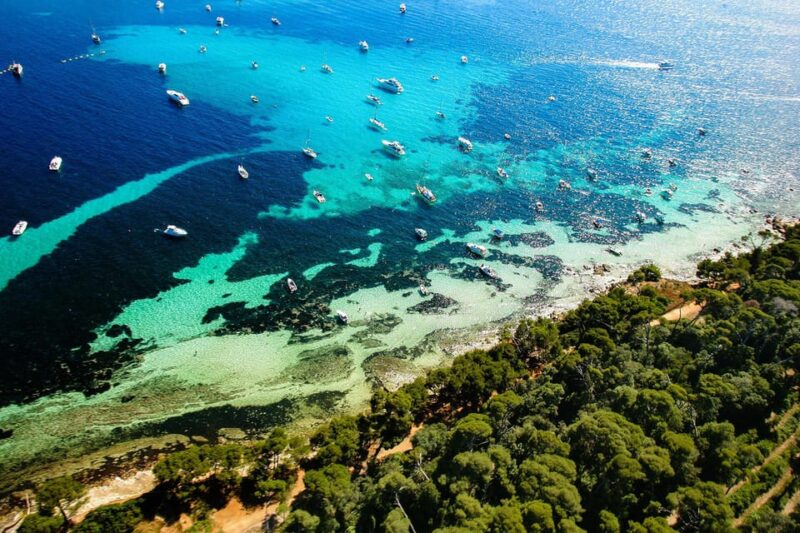 Walking Tour Cannes, Local Produce Tasting and Iles De Lérins (5h) - Key Points
