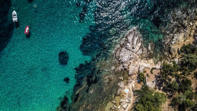 Walking Tour Cannes, Local Produce Tasting and Iles De Lérins (5h) - Tour Inclusions and Recommendations