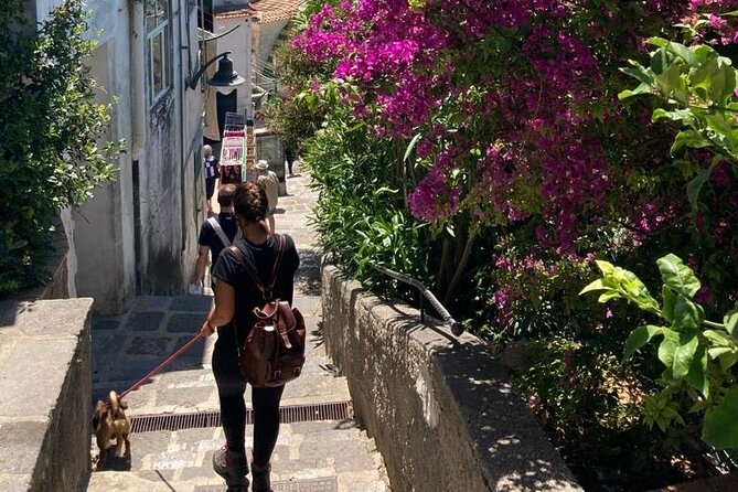 Walking Tour From Minori to Maiori Along the Path of the Lemons - Start Point: Basilica of Saint Trofimena