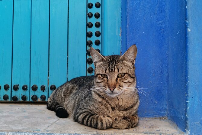 Walking Tour in Chefchaouen Blue City With Coffee/Tea Inclusion - Discover Chefchaouens History and Culture