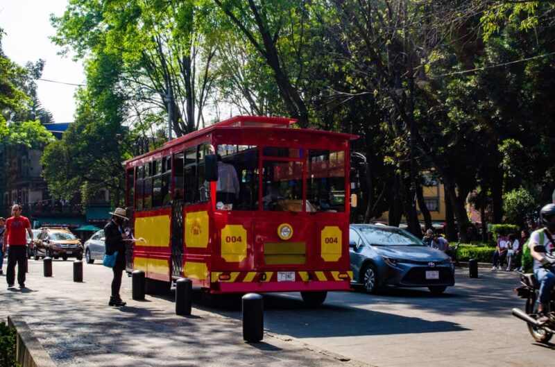 WALKING TOUR in Coyoacán - Small Groups - Experience and Itinerary