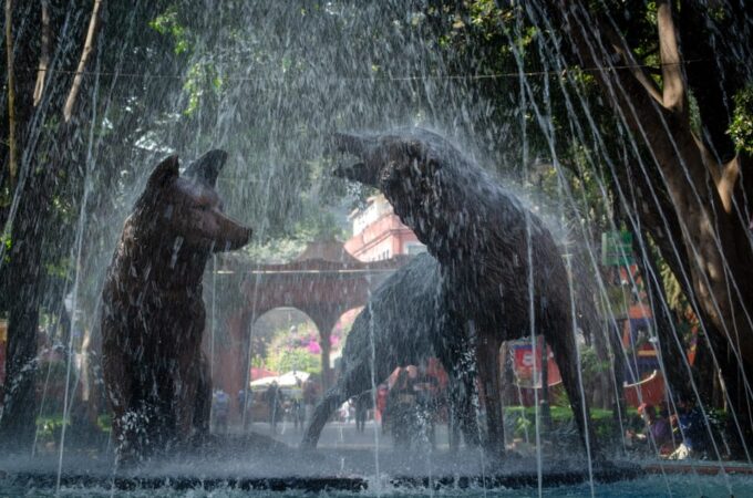 WALKING TOUR in Coyoacán - Small Groups - Tour Language Options